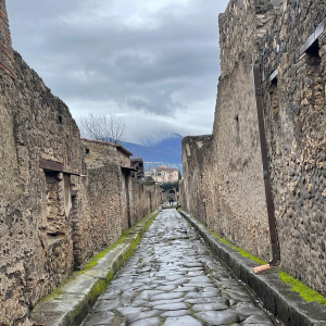 6f9a967b-59fa-4c8f-b70c-965eec0ccb4c