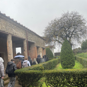 b8ac6bba-eef9-411e-ac56-4f0b9038dce1